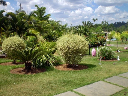 SiteEmpresa.Com
